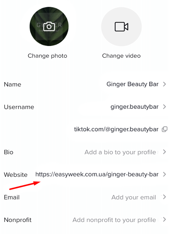 tiktok_website.png