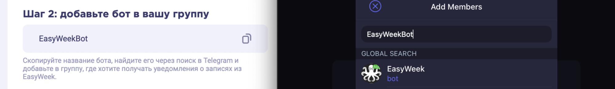image5.png